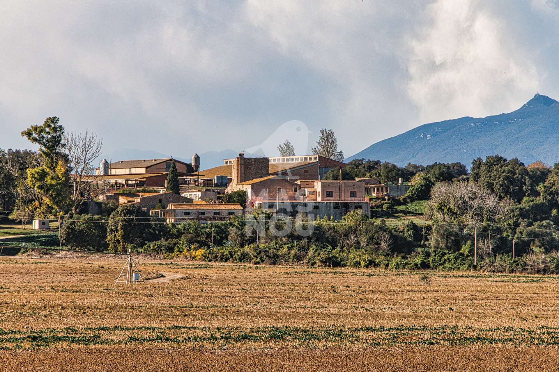 Finca de regadio en venta: Masia en Alta emporda